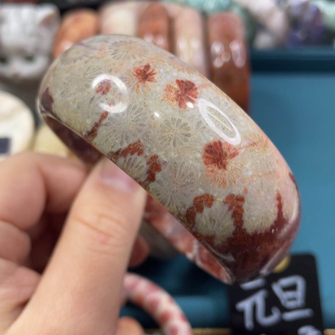 未镶嵌手镯硅化玉