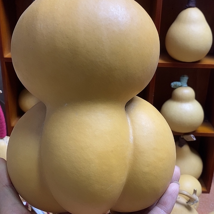 天然葫芦自然生长差价