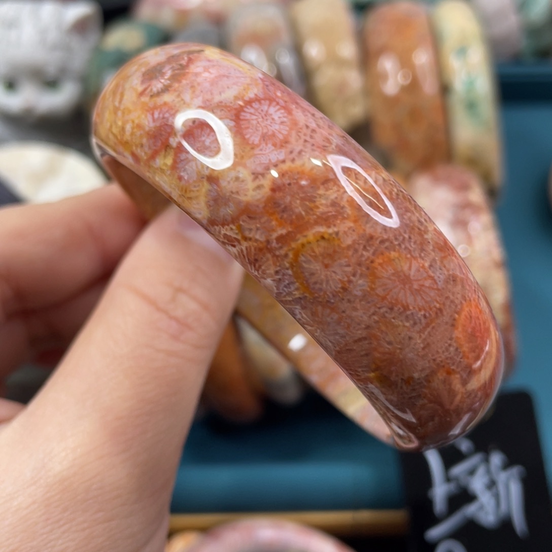 未镶嵌手镯硅化玉