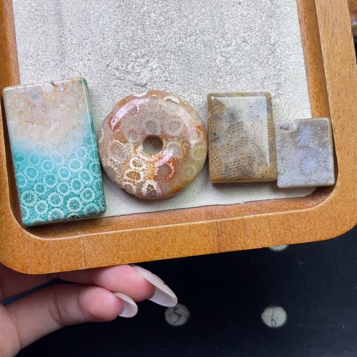 未镶嵌吊坠硅化珊瑚（珊瑚玉）