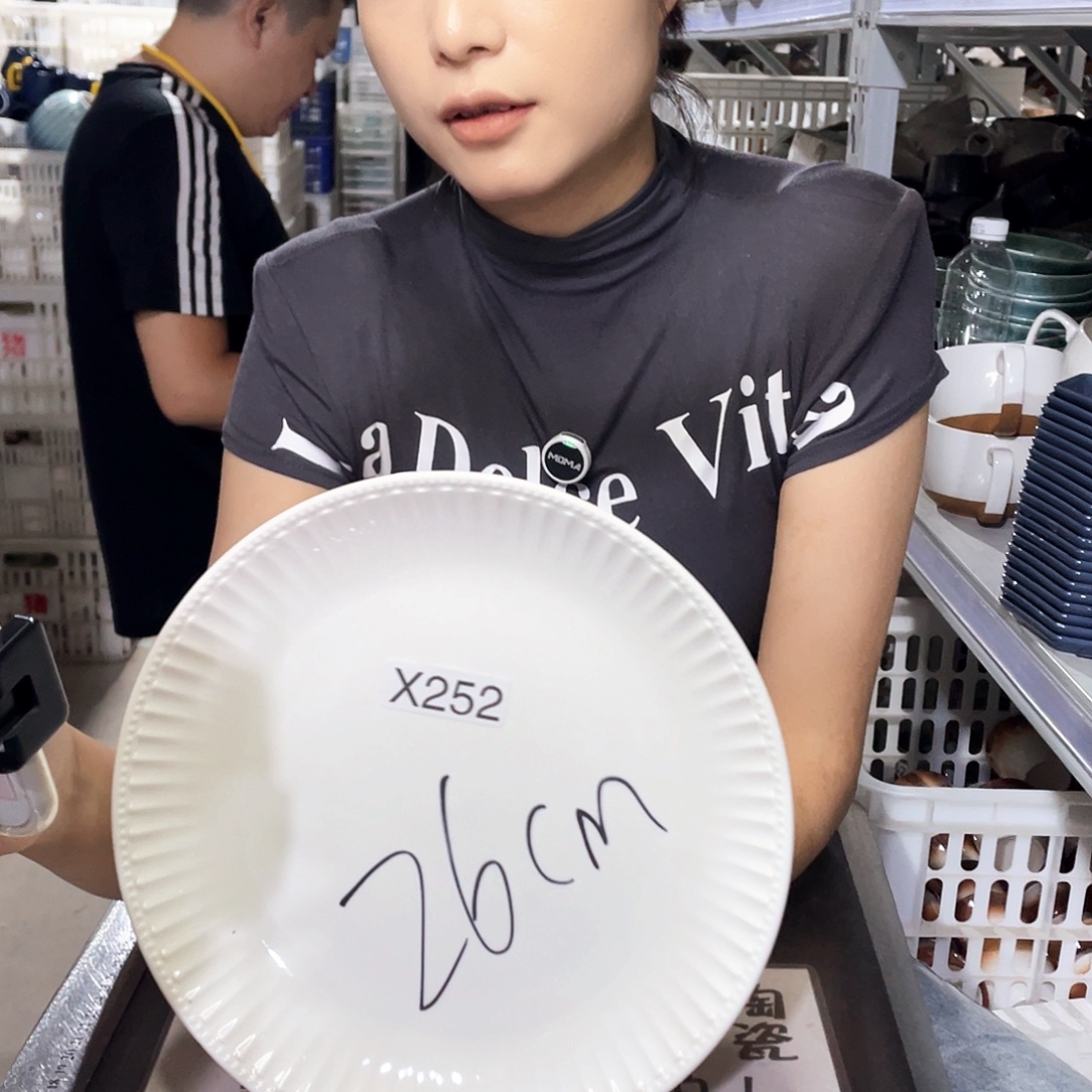 瓷片252             2个