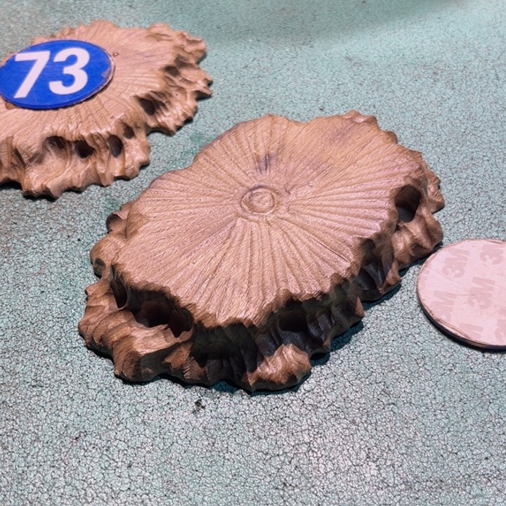 九***荀香杉木四川成都市