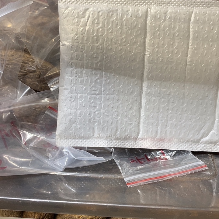 阿***啊千眼菩提把件天然千眼菩提不退不换