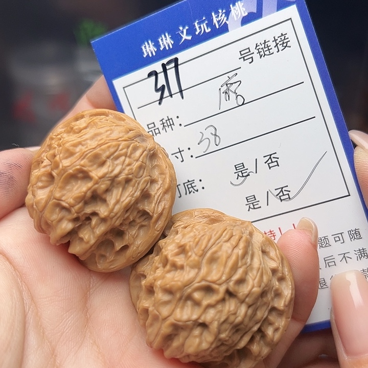 文玩核桃吊坠核桃树317