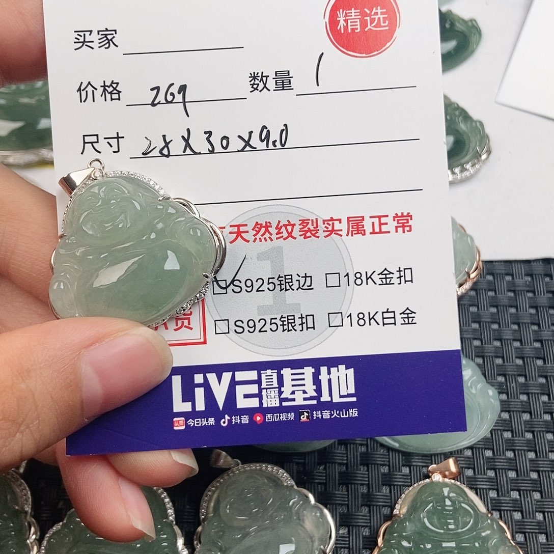 小***～翡翠银S925镶嵌颈饰