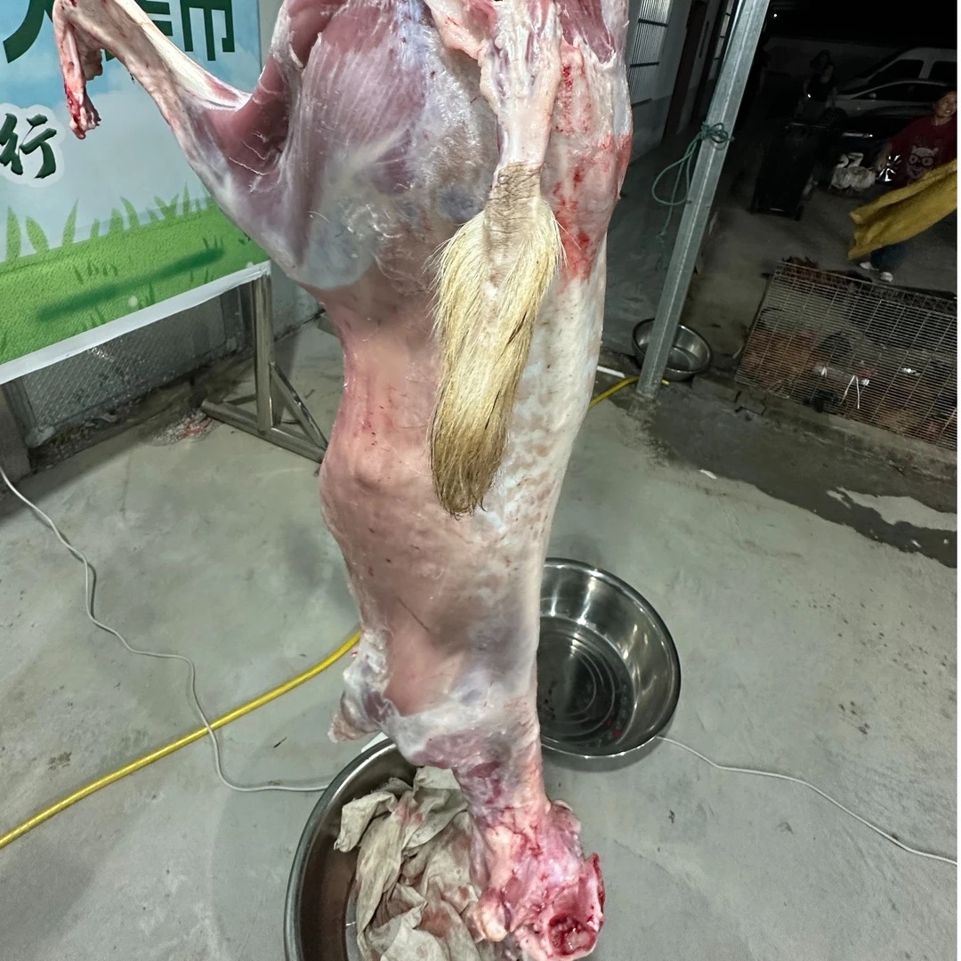 【羊排】本地小山羊整只羊按部位分割