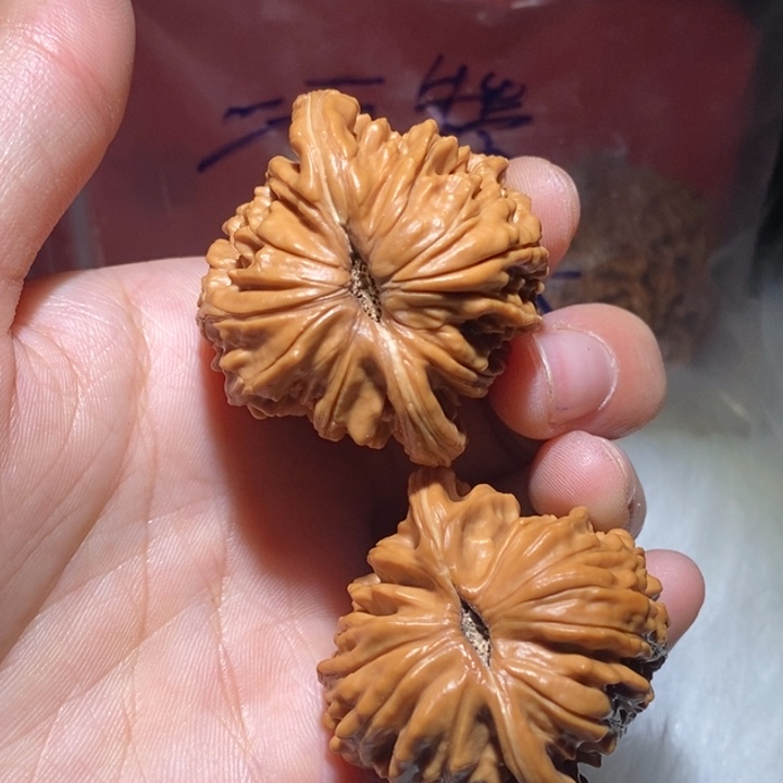 ****棍文玩核桃吊坠精品课程和专业