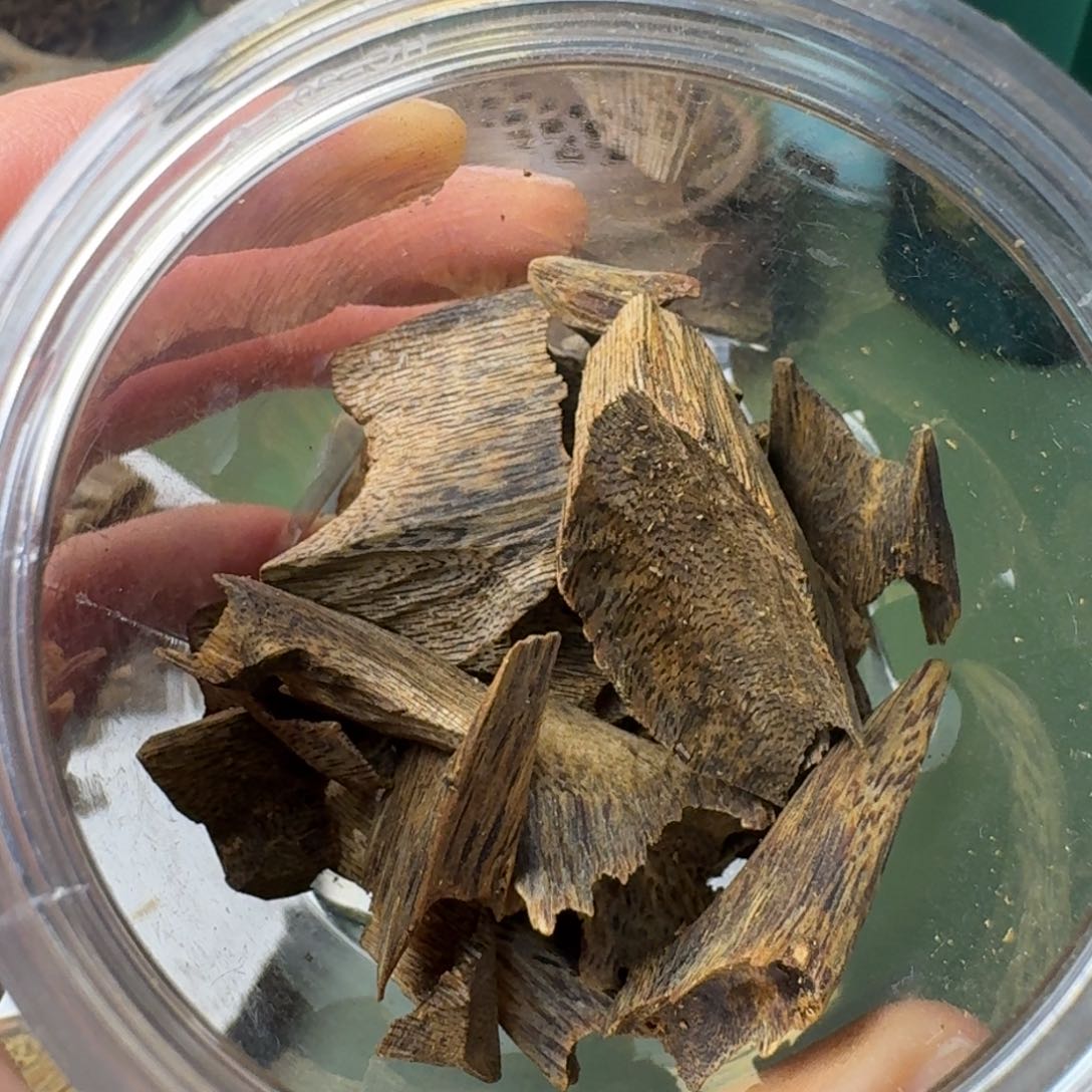 沉香手把件海南千里香牛肉干块料30克