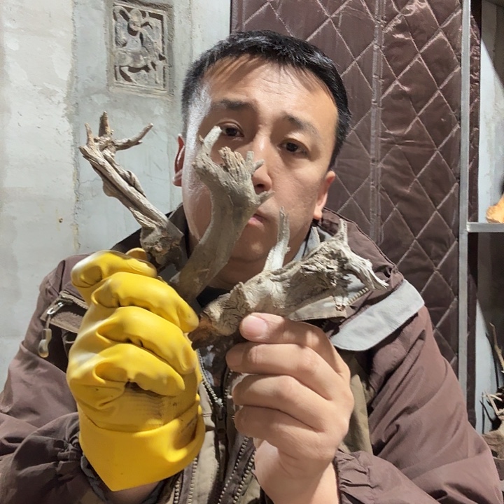 笑***生柏木崖柏毛料的加工