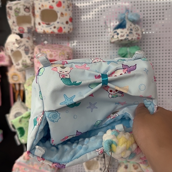 蜜袋鼯夏天框窝一个