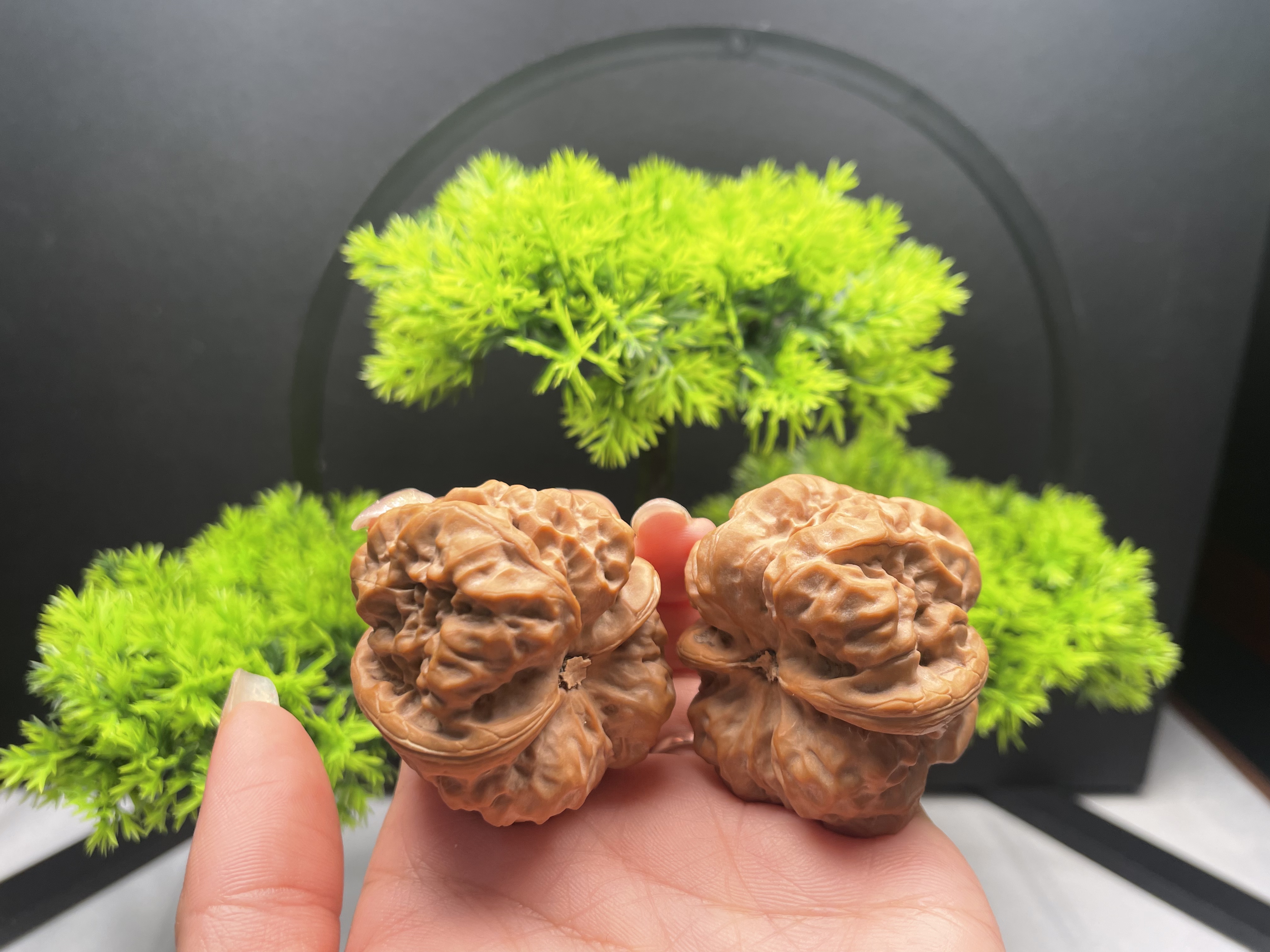 金蟾蛤蟆头文玩核桃全品无修天然野生收藏级手捻把件