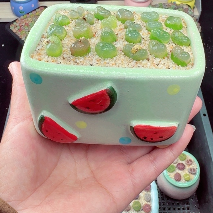 517零下地区记得拍保温箱