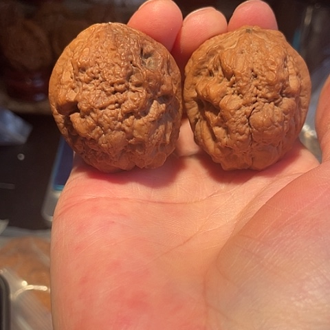 文玩核桃把件老疙瘩带彩41