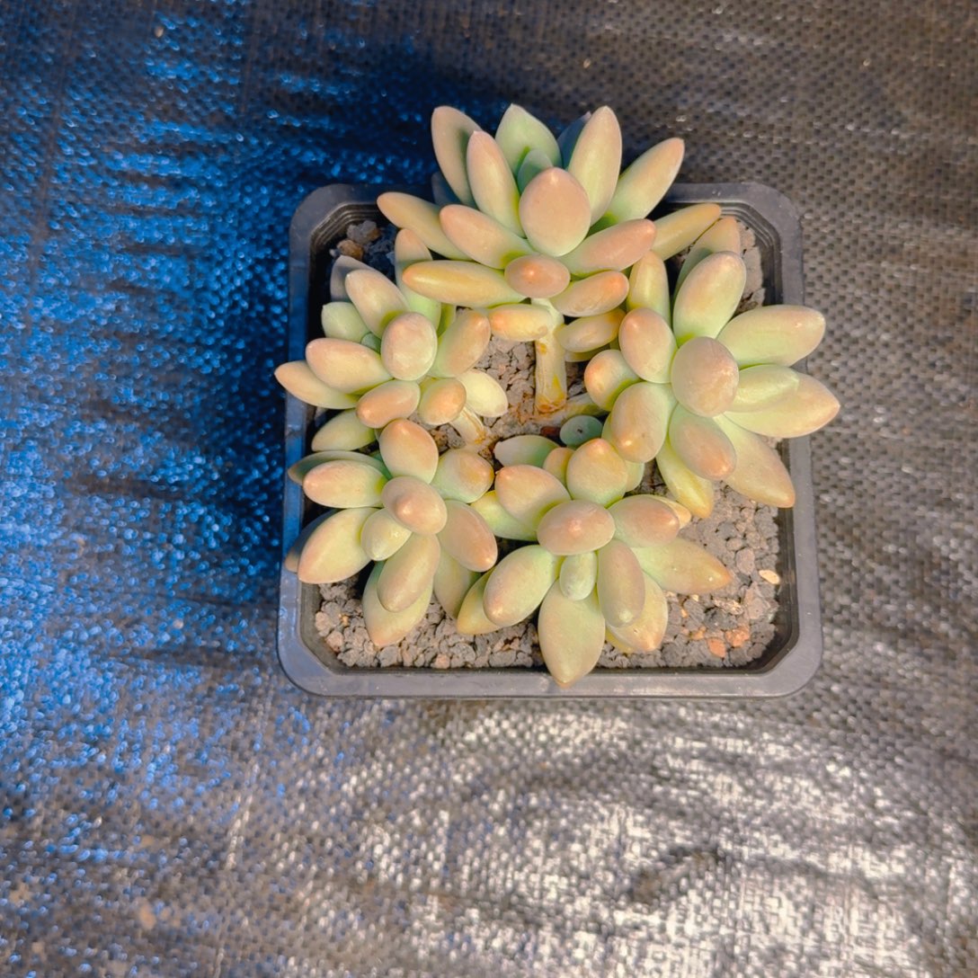 ****李小李发货11111111111111