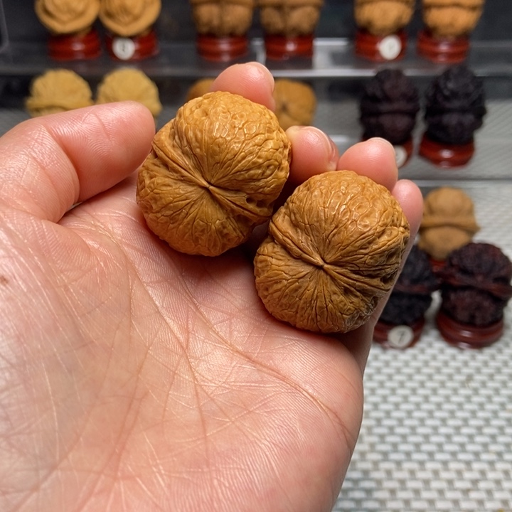 文玩核桃把件1鹦鹉元宝