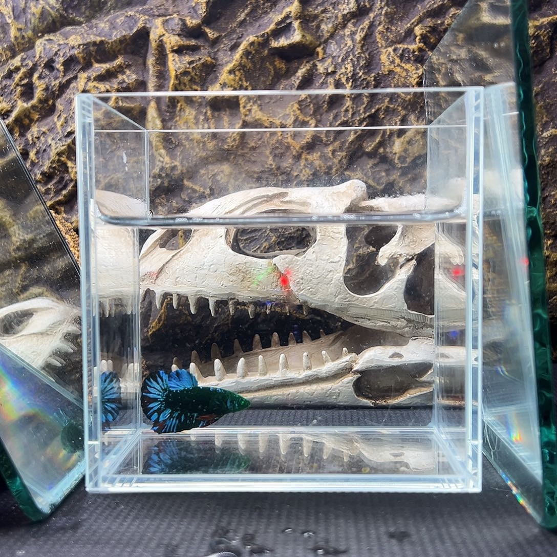 斗鱼精品精品精品精品精品