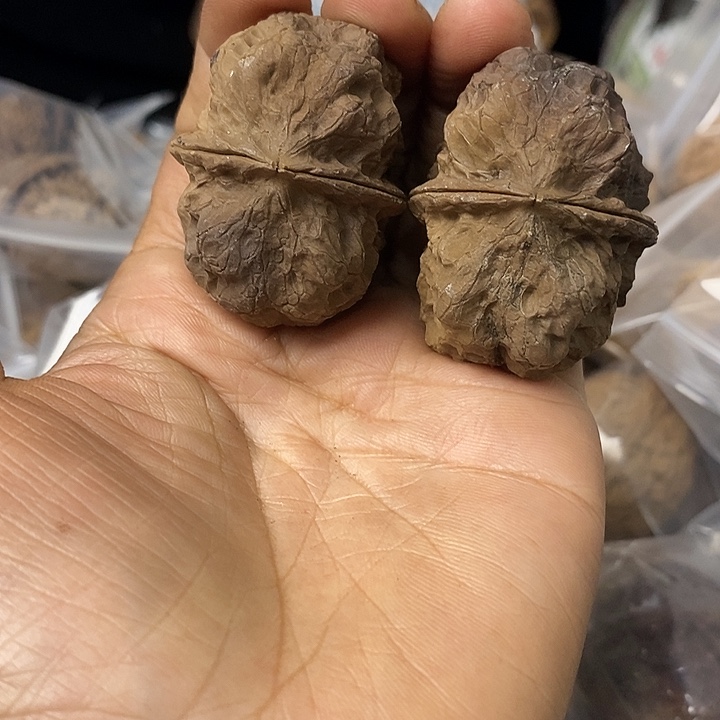 核桃云南铁核桃基地31