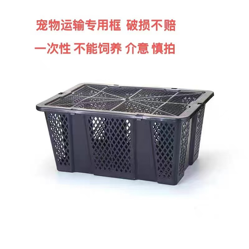 宠物用品四季三花鹅镂空长方形塑料蓝运输收纳筐储物【二斤左右】