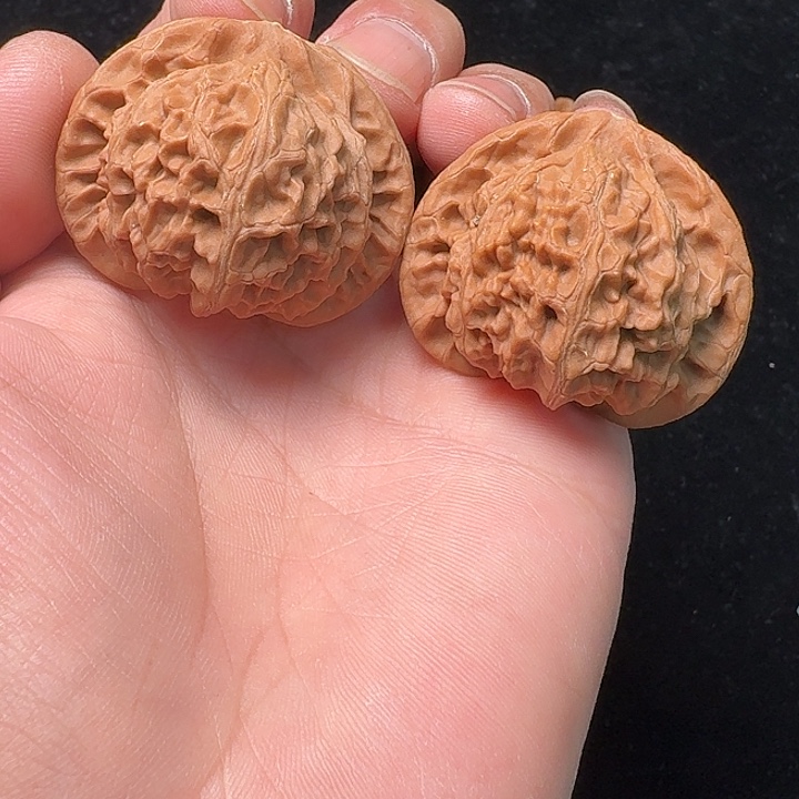 核桃宫灯核桃，精对43，全品