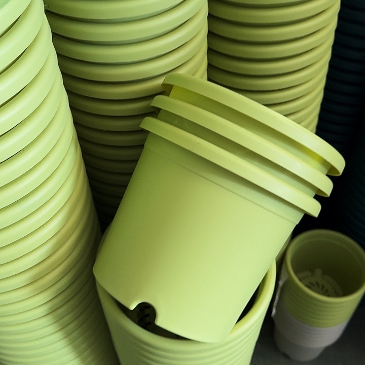 四季3号果绿无托10个特价微瑕