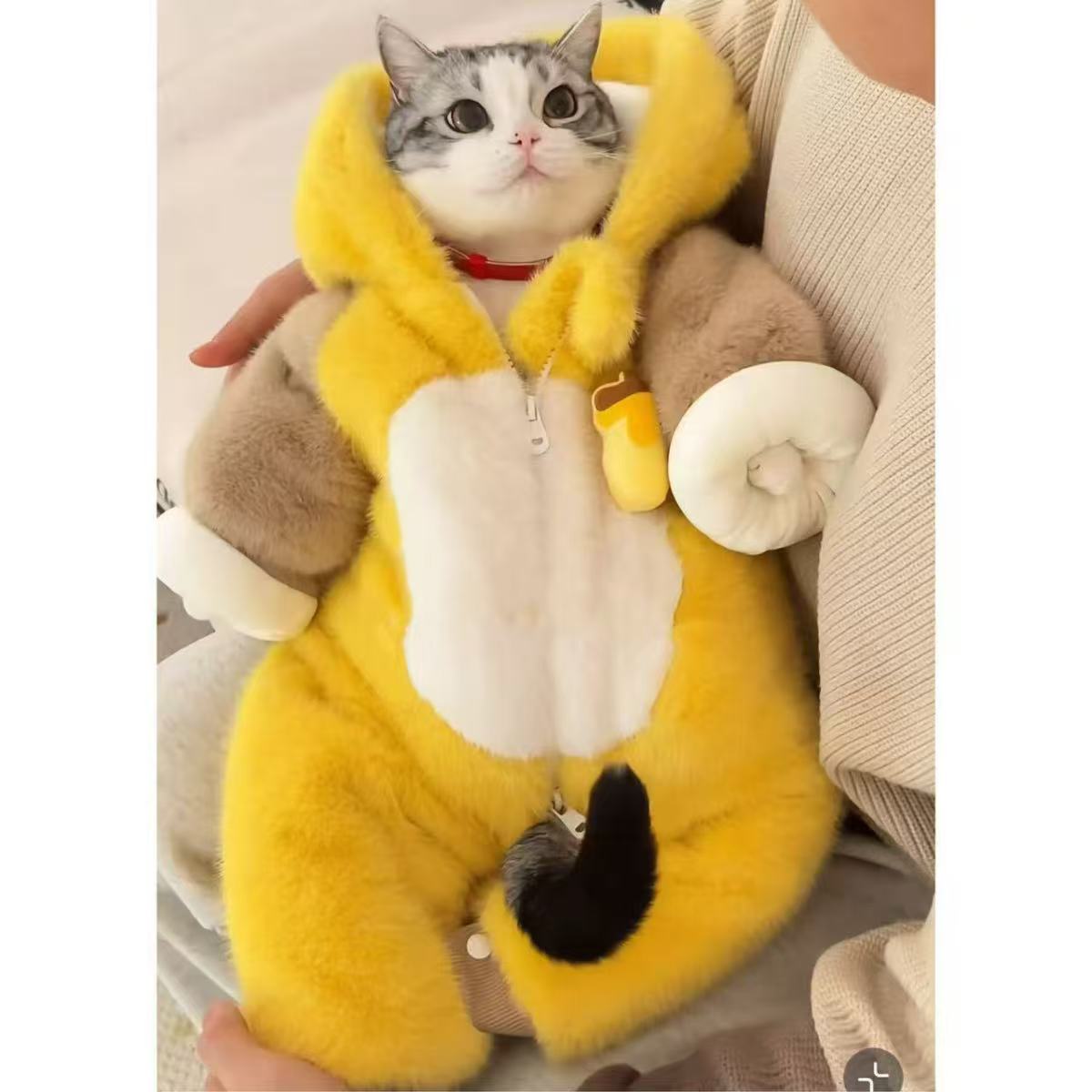 小狗衣服秋冬装厚款四脚可爱呆萌熊棉衣小型犬泰迪宠物