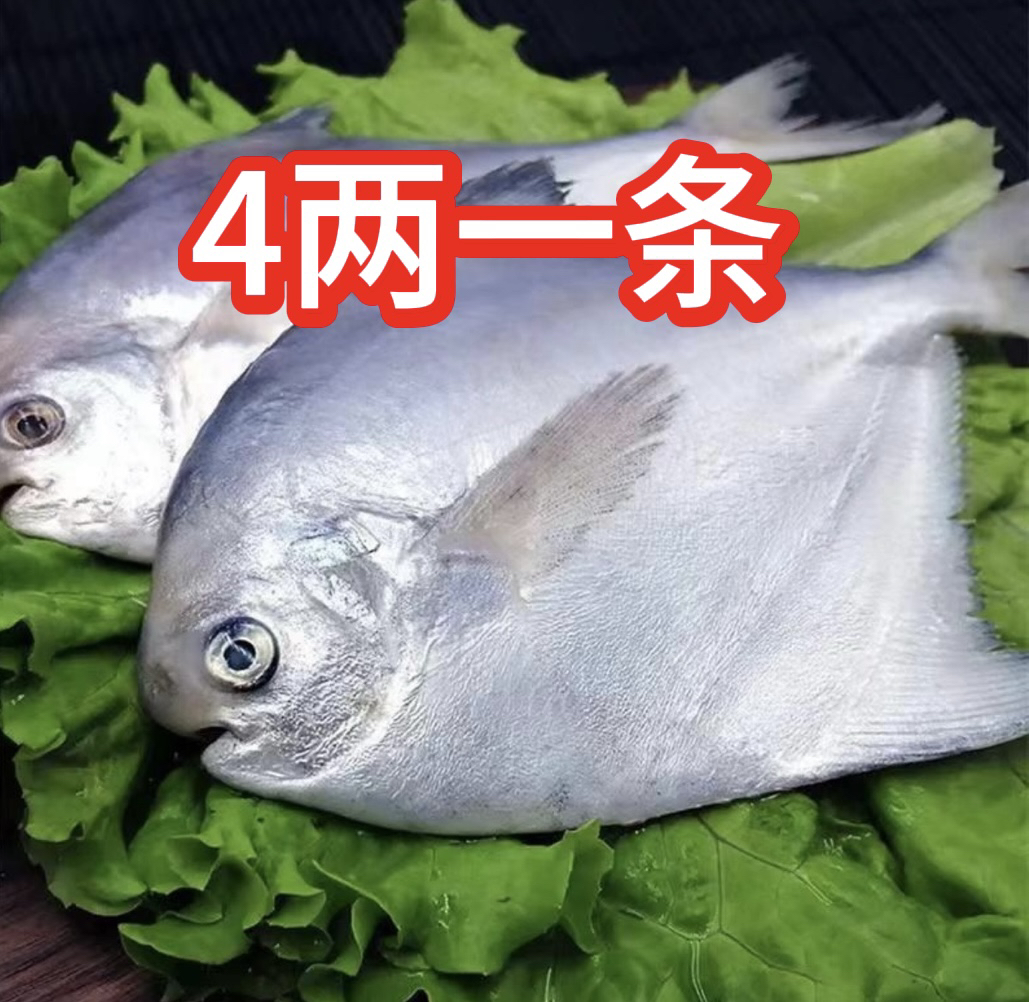 大银鲳鱼4两一条（到手8大条）液氮锁鲜发货顺丰包邮