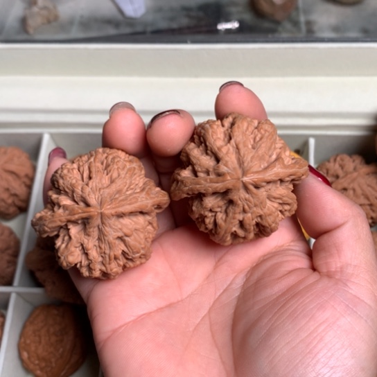 情**家文玩核桃手把件大粗筋