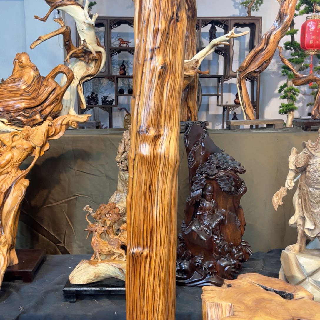 柏木（崖柏）东*111125555855