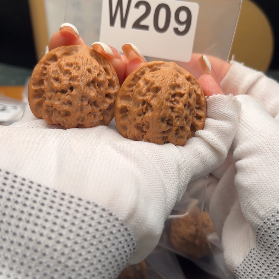 文玩核桃把件38野狼w 209