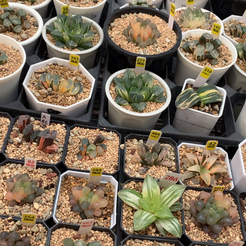 【闪购商品】0度以下需拍保温箱