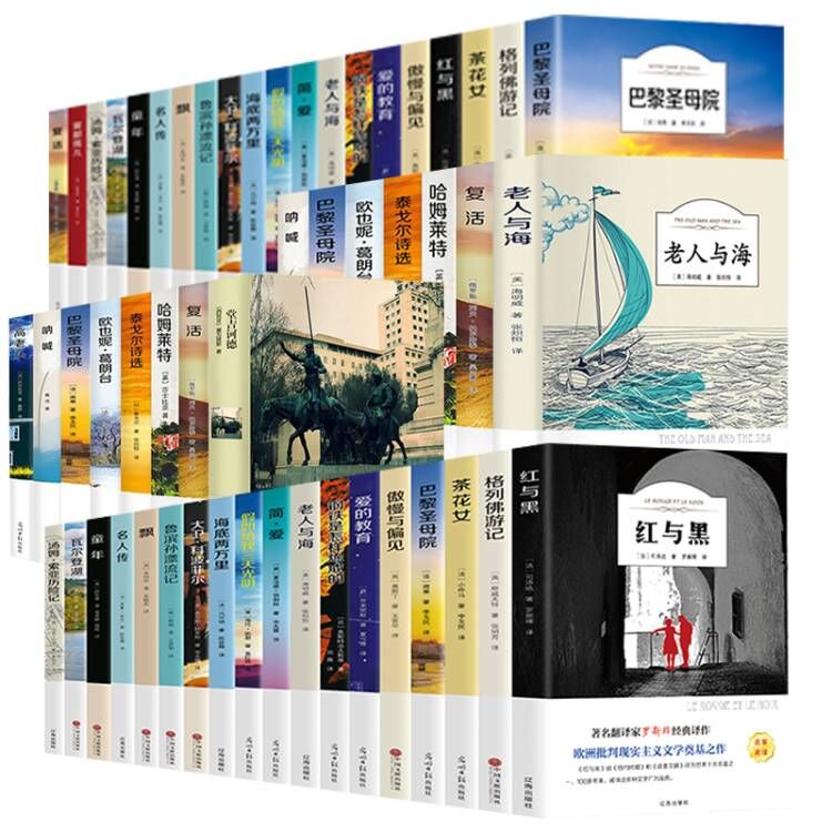 正版傲慢与偏见柳林风声小王子巴黎圣母老人与海昆虫记世界名著书