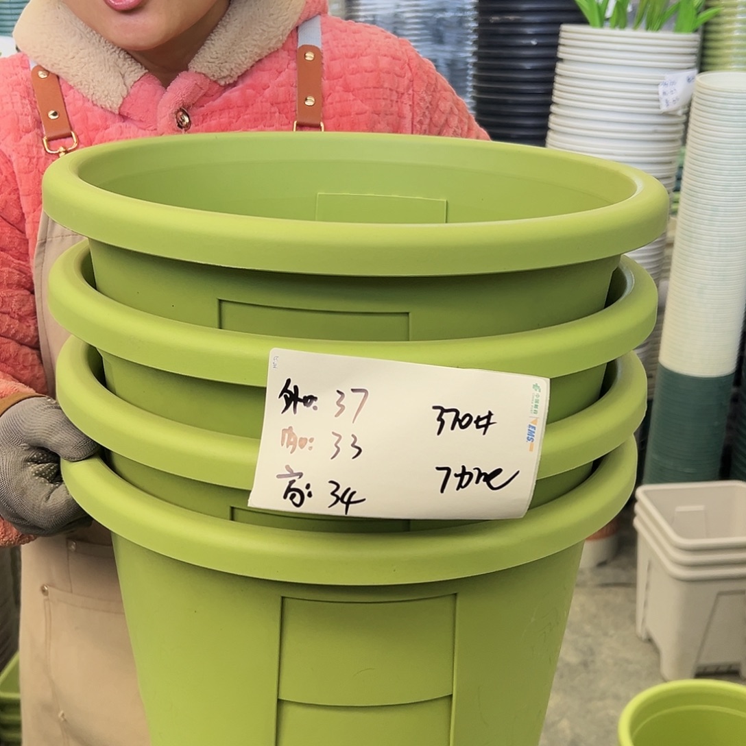 玫瑰370#果绿色4个无托