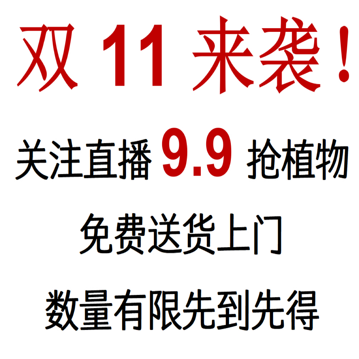 直播间活动9.9绿植