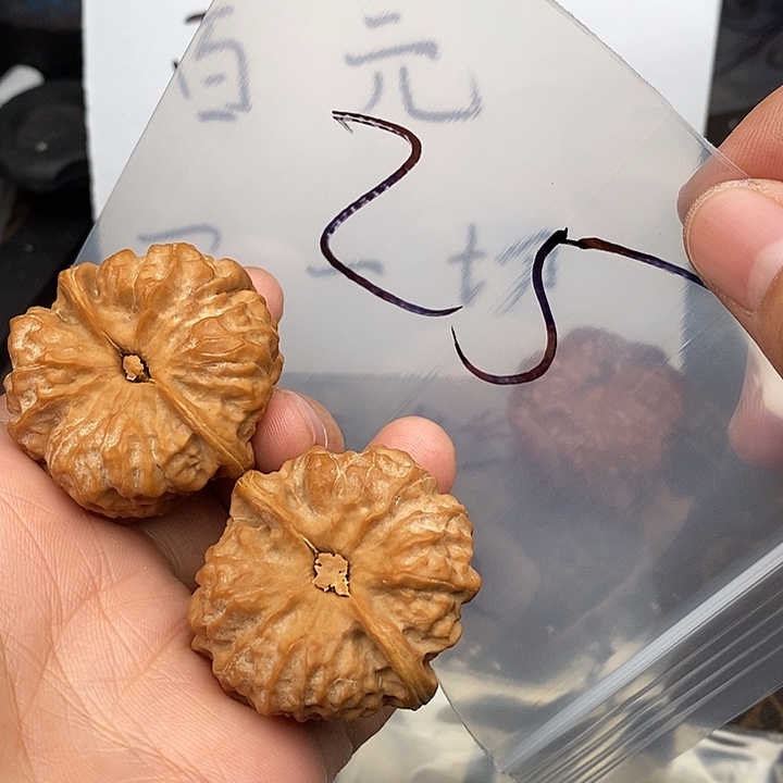 吊坠文玩核桃573357357537543543