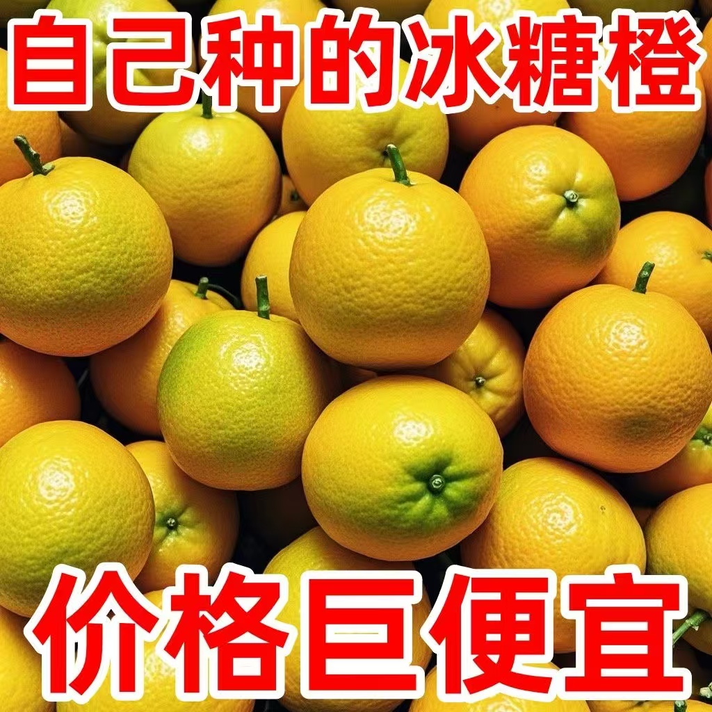 湖南麻阳高山锦蜜冰糖橙新鲜现摘应季水果皮薄肉嫩纯甜多汁5斤
