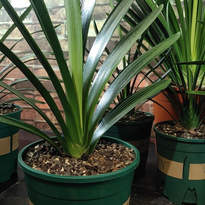 完全开放1111111111