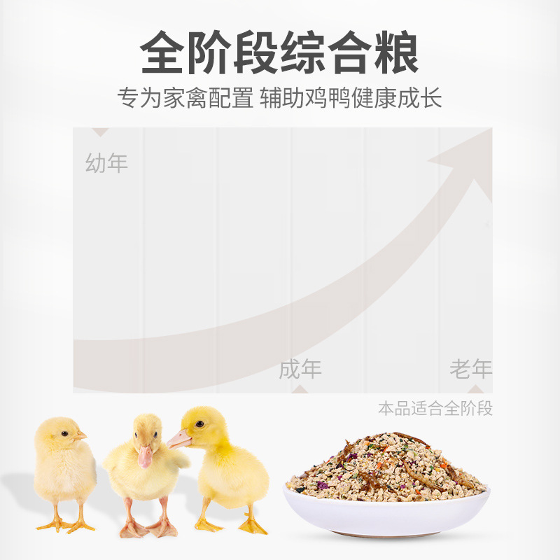 鸭小鸡芦丁幼鸡产蛋食物家禽混合喂鸡粮食鸭鸡饲料饲料育雏