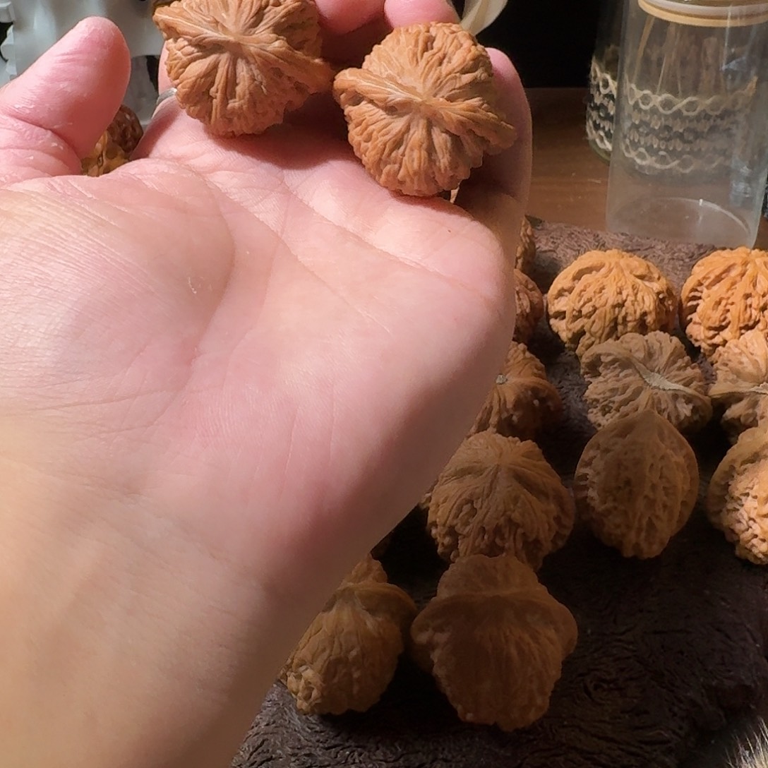 手串/手链核桃38楼子