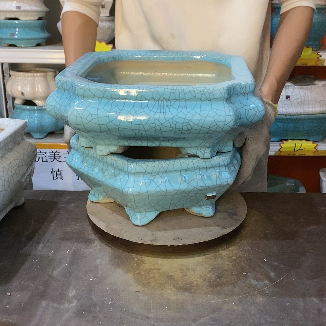 聚****伊瑕疵花盆花盆里的花都