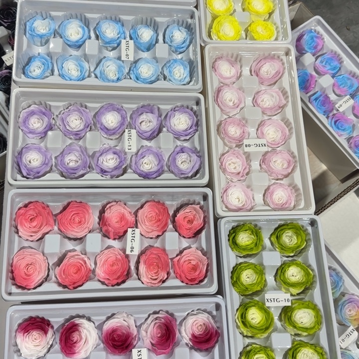 永生花玫瑰福利Sg02