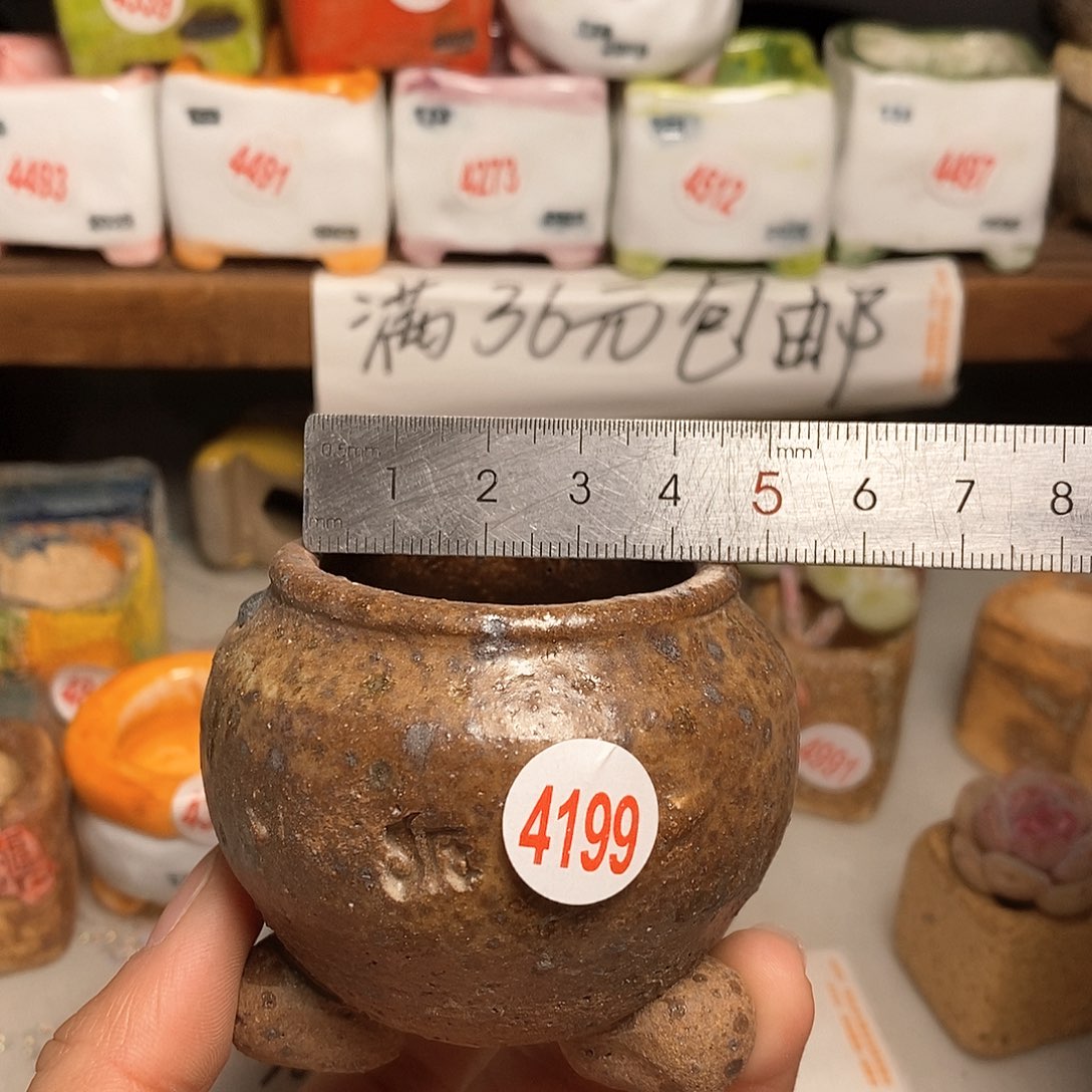 红陶拍5送一个小