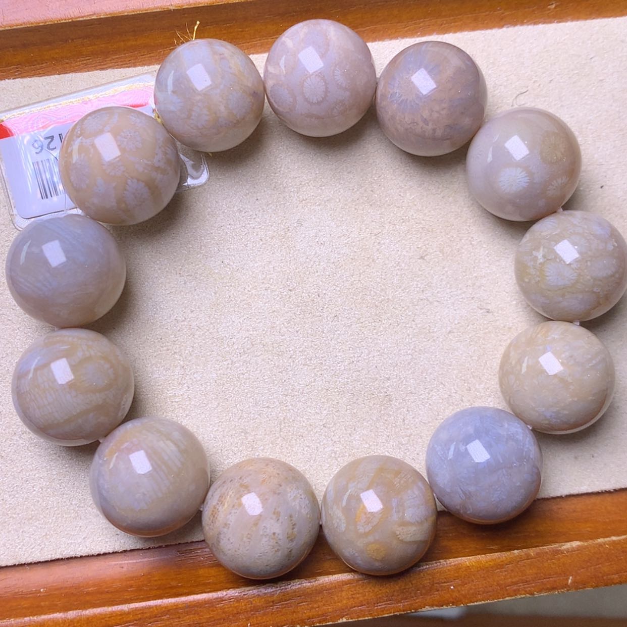 【闪购商品】硅化珊瑚（珊瑚玉）手镯未镶嵌