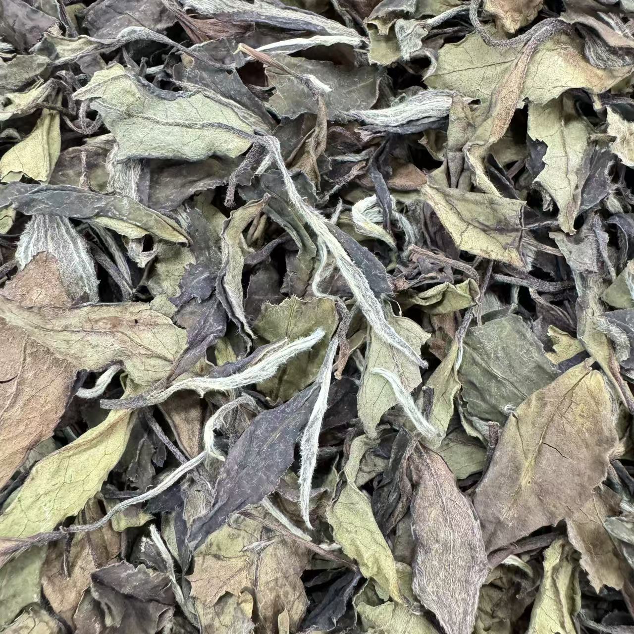 【江缘】福鼎白茶，·2015年·贡眉·高山·老树荒野·果香果蜜韵