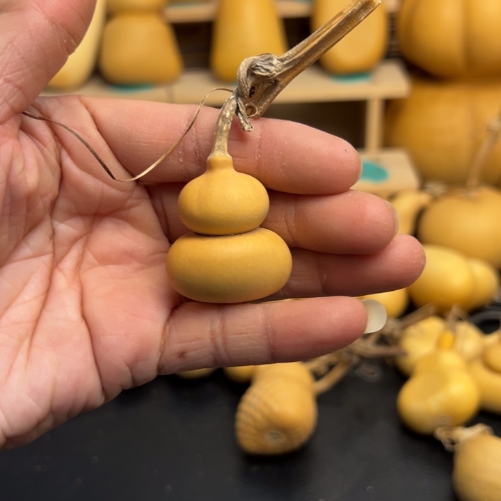 飞*葫芦葫芦葫芦葫芦葫芦葫芦