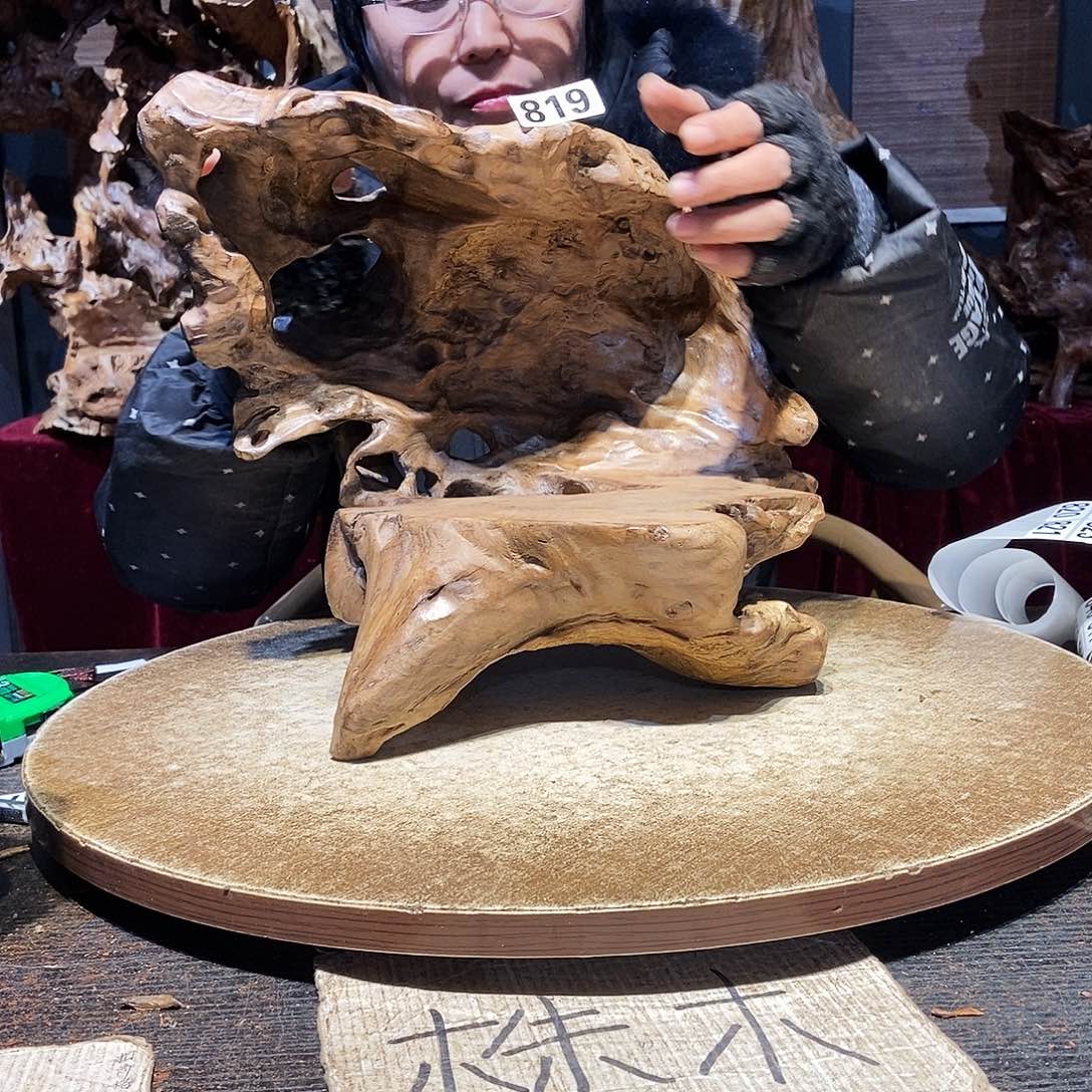 ****利819。株木随行根艺