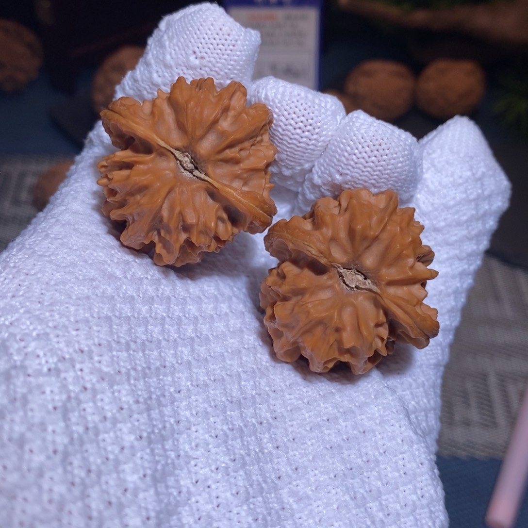 36尺 微修白茬 曹大龙