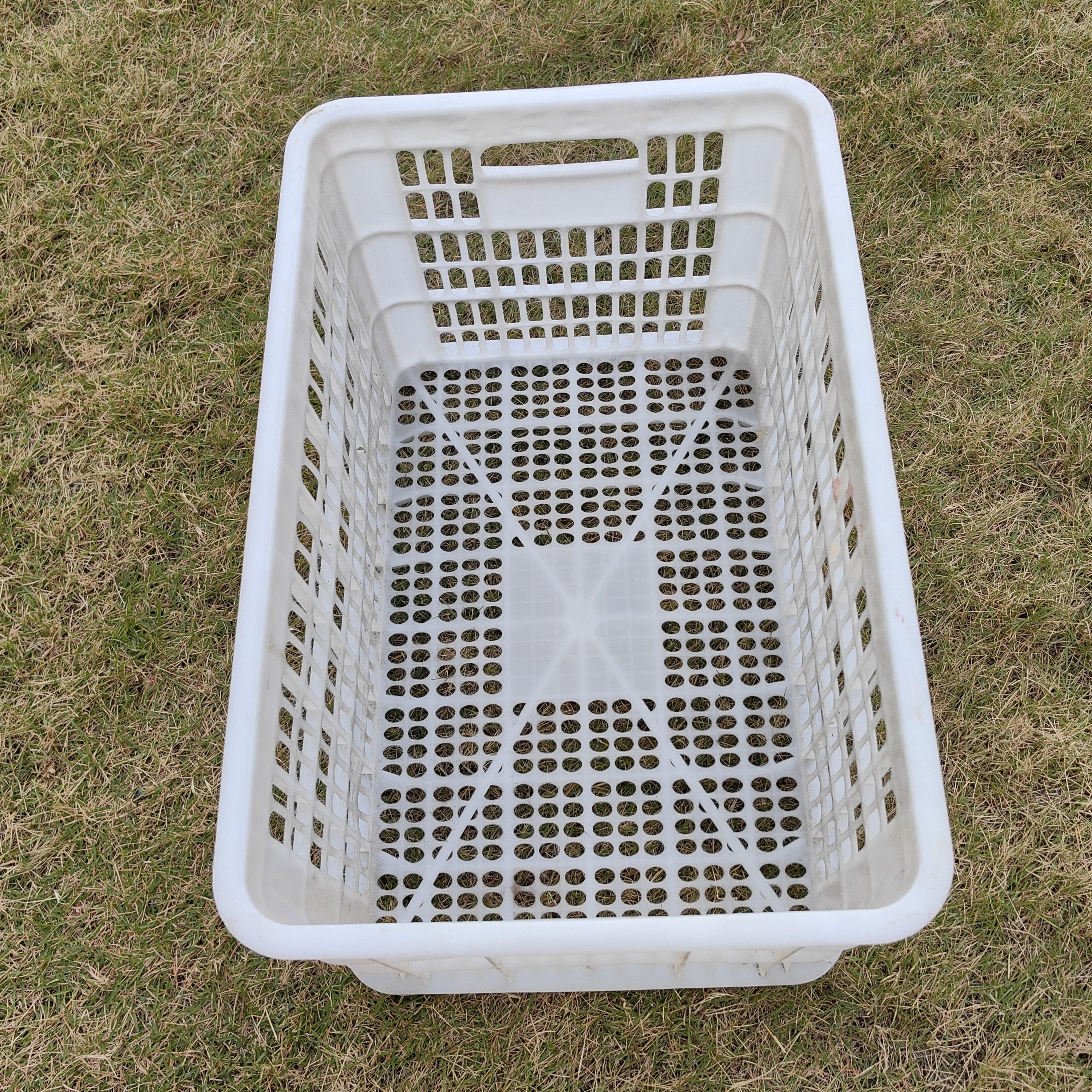 腾欣狮头成品白色粉色塑料框特大号1个