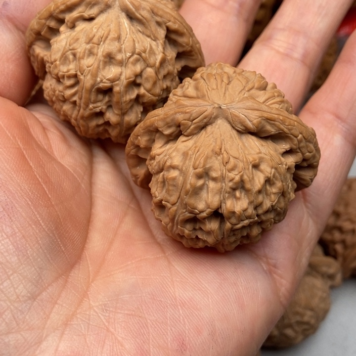 文玩核桃把件余**米白狮子