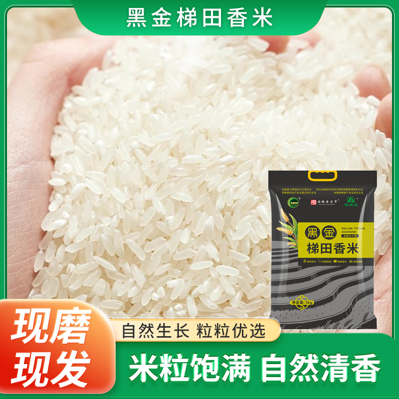 黑金梯田香米5kg真空包装优质梯田米营养软糯家庭袋装大米10斤装
