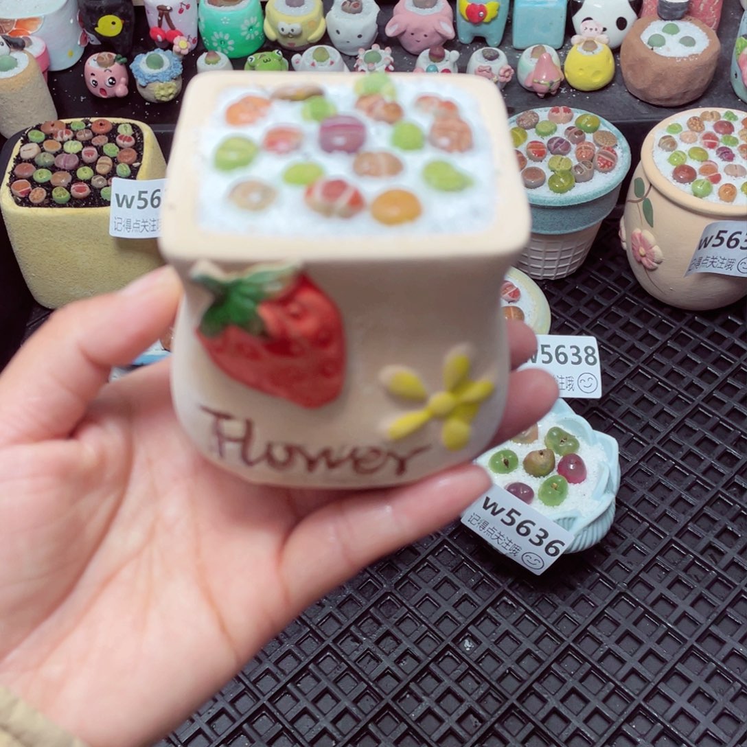 w5639 带盆土发货-零下地区拍保温箱